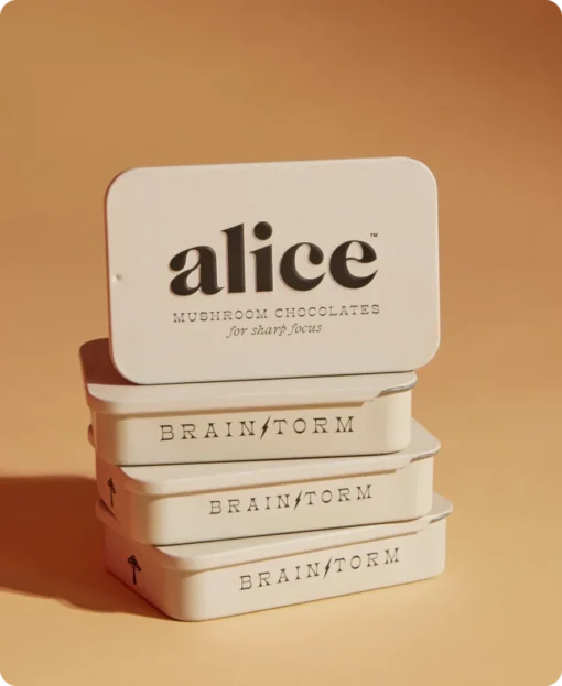 Alice Mushroom Chocolates for sale Europe
