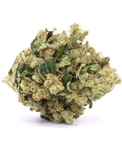 Kandy Kush Strain for sale in Europe