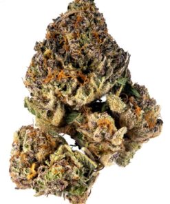 Cherry Og Strain