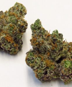 Apple fritter