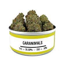 Garanimals Strain