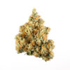 NYC Diesel Strain for sale in Europe