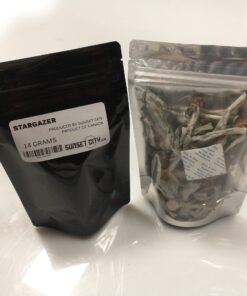 Inca Stargazer Mushroom for sale Europe 