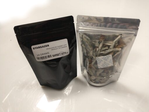 Inca Stargazer Mushroom for sale Europe 